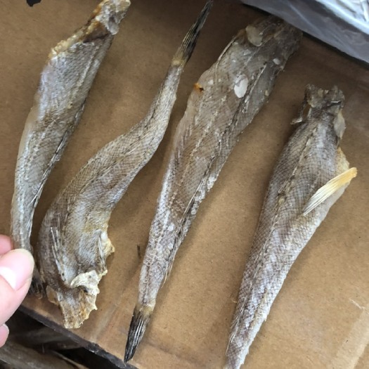 广州沙丁鱼干，好吃，无头，纯肉，批发30斤一箱，量大从优