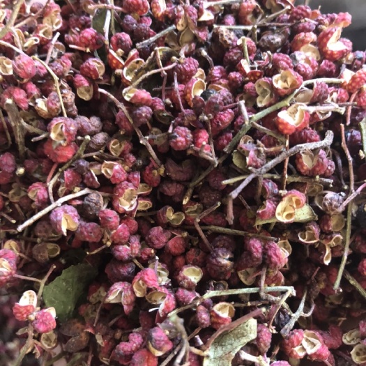 三门峡大红袍花椒 一级 干花椒