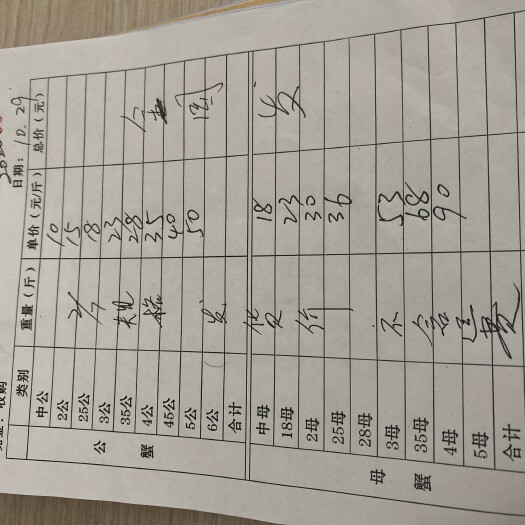 兴化市泰兴大闸蟹  27规格