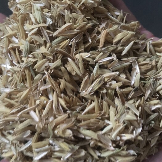 运城 稻壳
