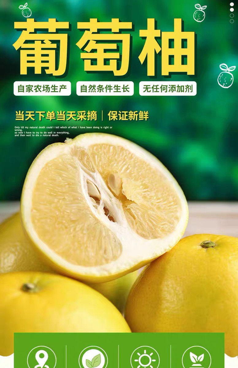 海南蜜丁黄金葡萄柚新鲜礼盒5斤包邮纯甜黄皮蜜柚子青皮整箱