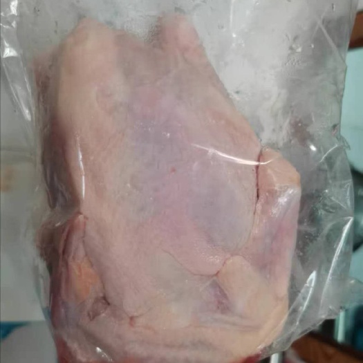 衡阳白条鸡  散养湘黄土鸡成品鸡包邮包宰杀真空包装