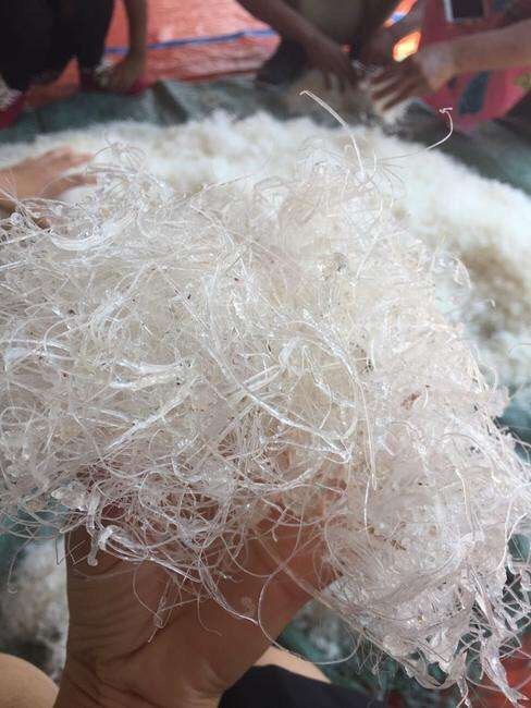 瑞丽市缅甸雪燕，天然植物产品，无污染，泡发后拉丝，量大可谈