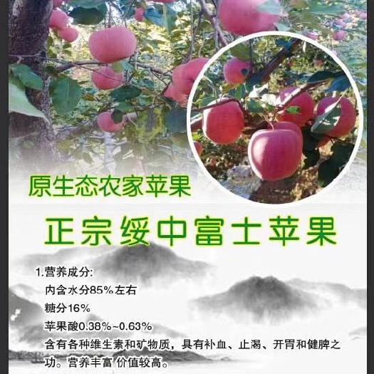 绥中县富平苹果  绥中富士