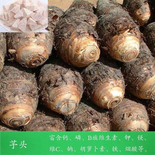 蓝山县水芋头 通货