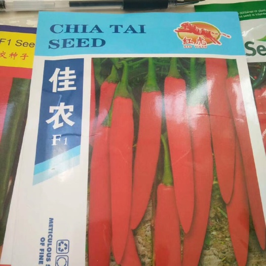 禄丰市美人椒种子 亲本（原种） ≥95% 