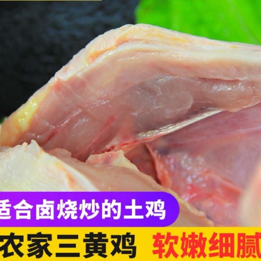 衡阳鸡肉类  散养土鸡黄土鸡黑土鸡瑶鸡成品鸡包宰杀包邮真空包装
