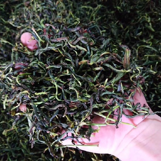 饶平县老枞水仙 单从茶水仙