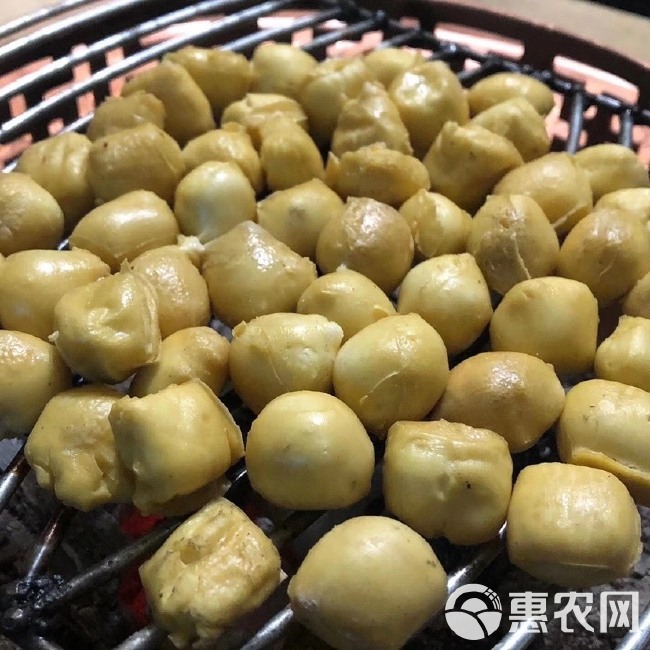 毛豆腐  云南红河网红爆款小豆腐