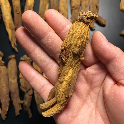 开平市集安红参 看芦头.看纹路.足六年根参.30支