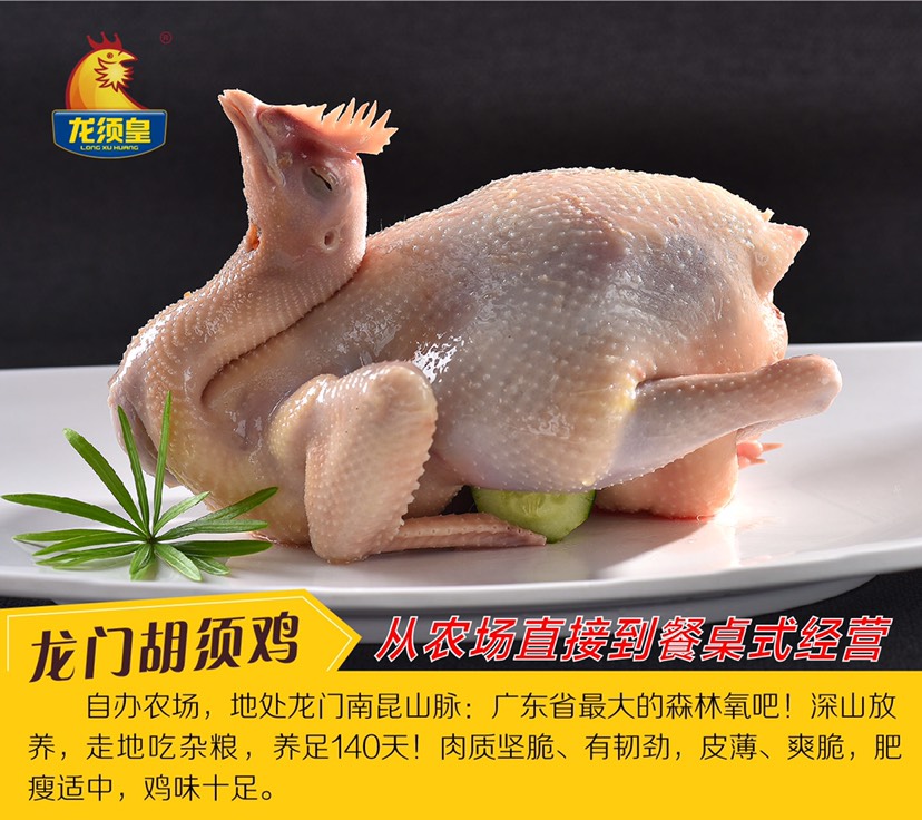 土鸡 广东三大名鸡之首,惠州龙门胡须鸡,山林散养130天