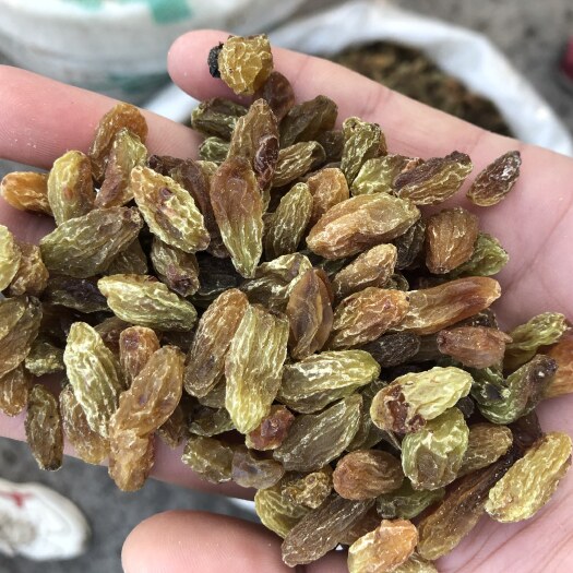 吐鲁番无核葡萄干  产地直发葡萄干