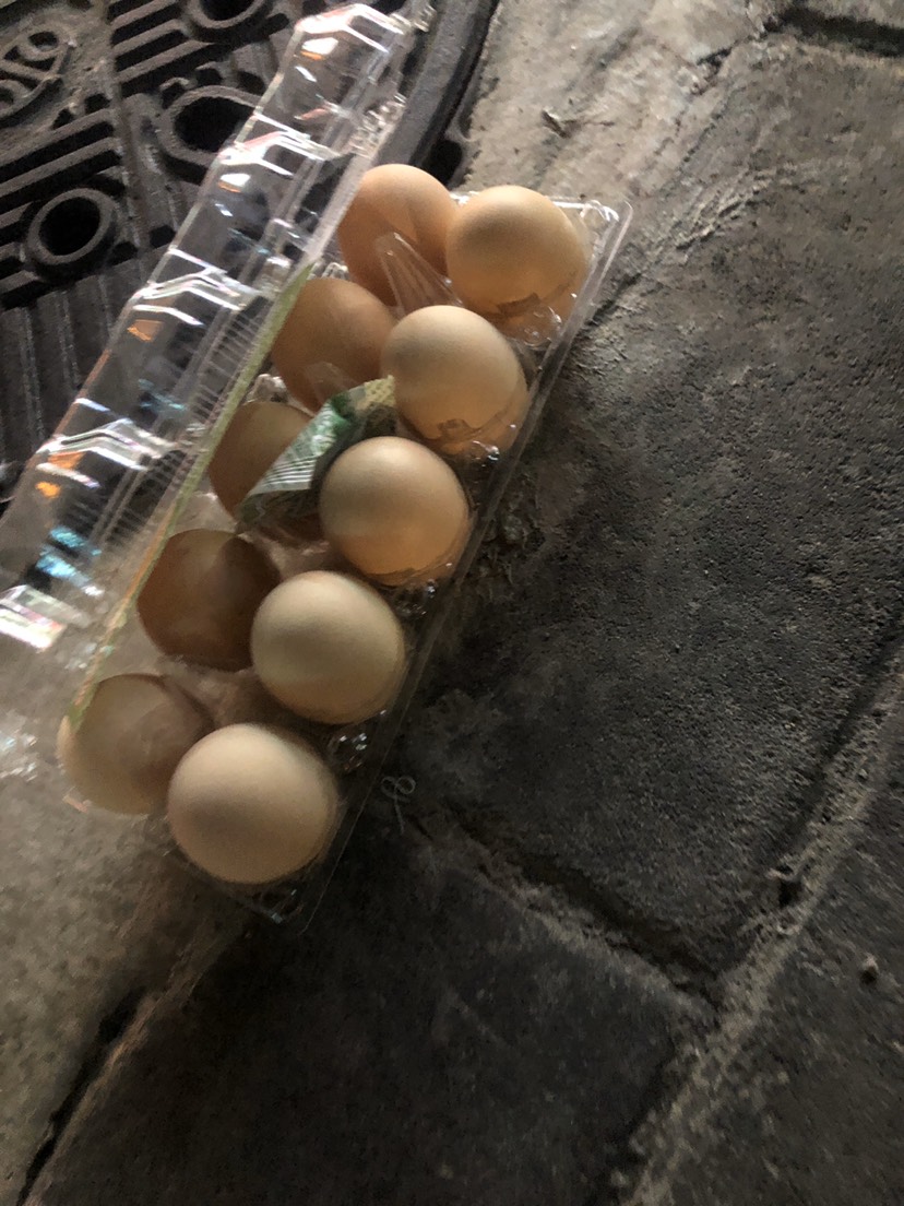 初生蛋 食用 箱装 