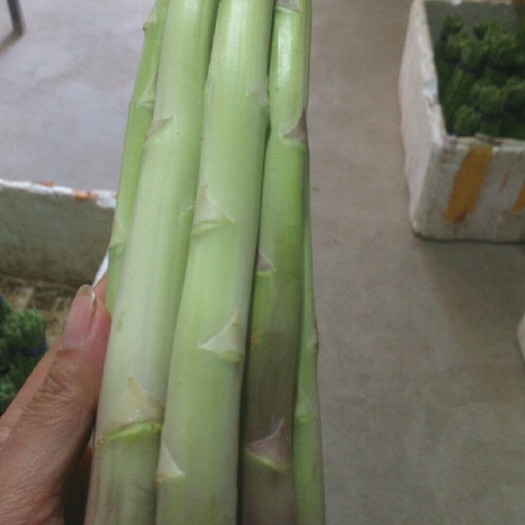 瑞丽市绿芦笋 混装通货