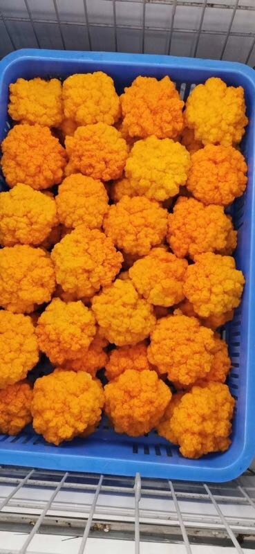 大理市鲜银耳 新鲜金耳