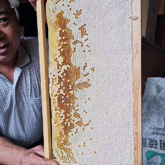 来凤县土蜂蜜  自产自销 量大从优 绝不掺假