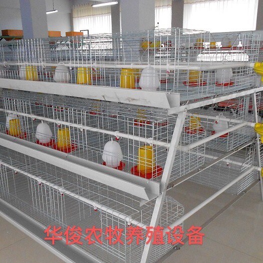 西平县鸡笼  阶梯式育雏笼