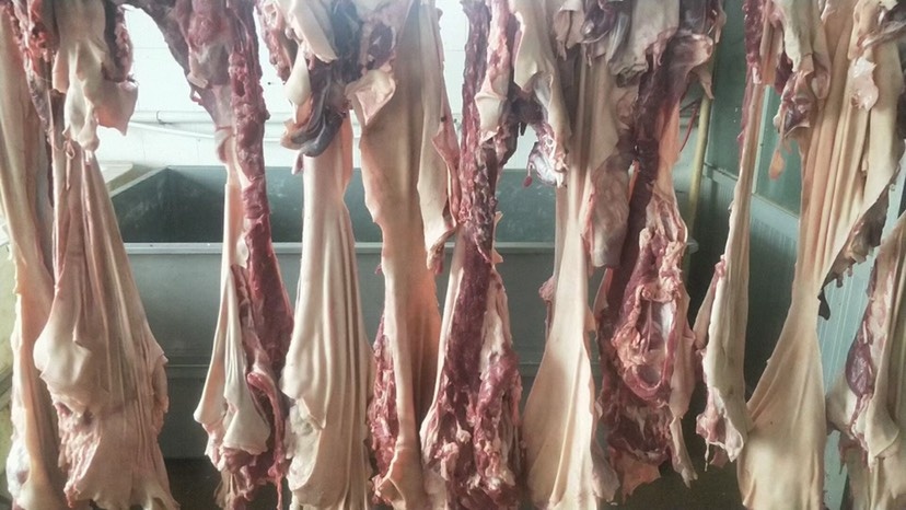 成都羊肉类 羊板肉