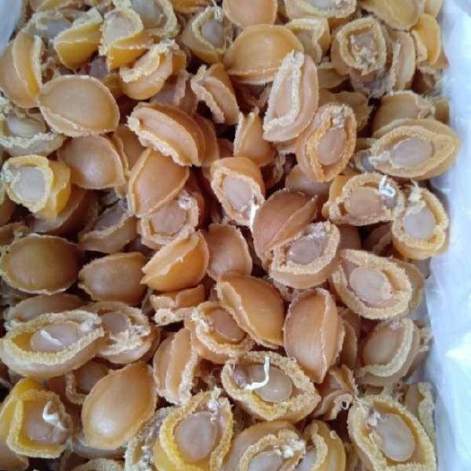 连江县鲍鱼干 黄金鲍 9层干鲍 直供价