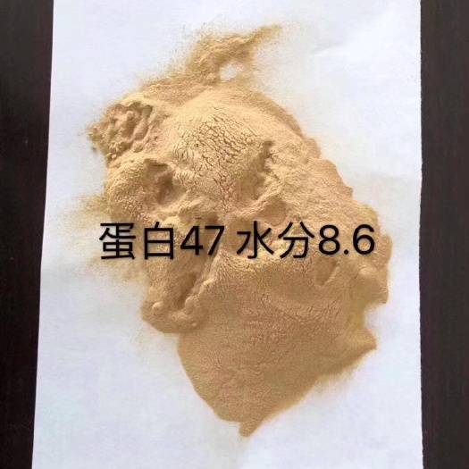 石家庄 玉米浆干粉