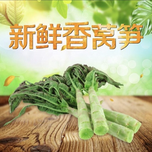 盐城现摘新鲜莴苣农家新鲜莴笋时令蔬菜红尖叶苏北香莴苣香莴笋