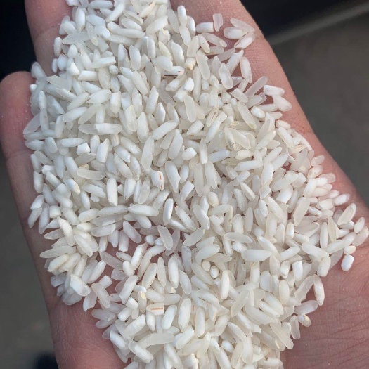 定远县碎米 白米