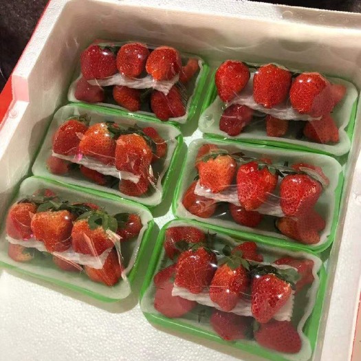 徐州草莓正在大量上市，产地直销、现摘现发、欢迎老板光临，诚信合作