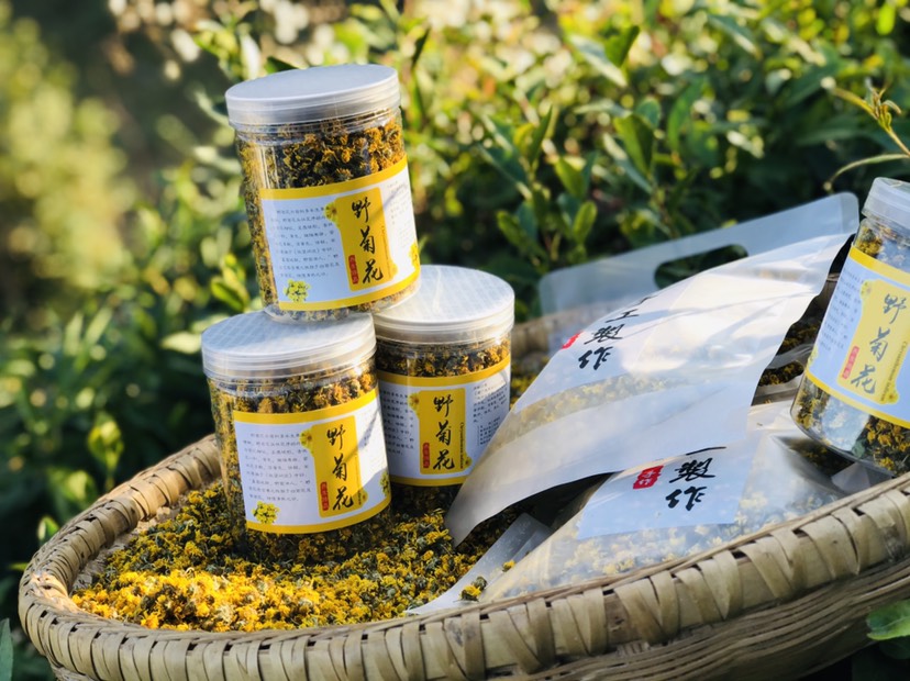 巴东县干野菊花  神龙架高原地区纯野药菊茶自然晾晒