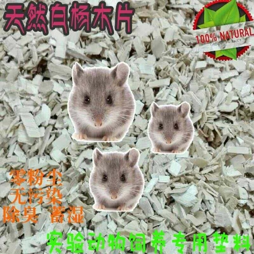 垫料木屑宠物大小鼠动物除臭垫料白杨木片