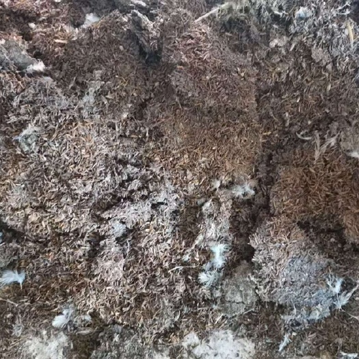 博白县有机肥鸡粪谷壳鸡粪