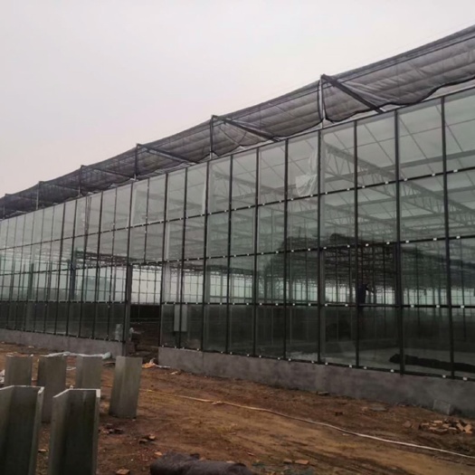 青州市智能文洛型玻璃温室大棚，厂家直销，包工包料包设计包售后