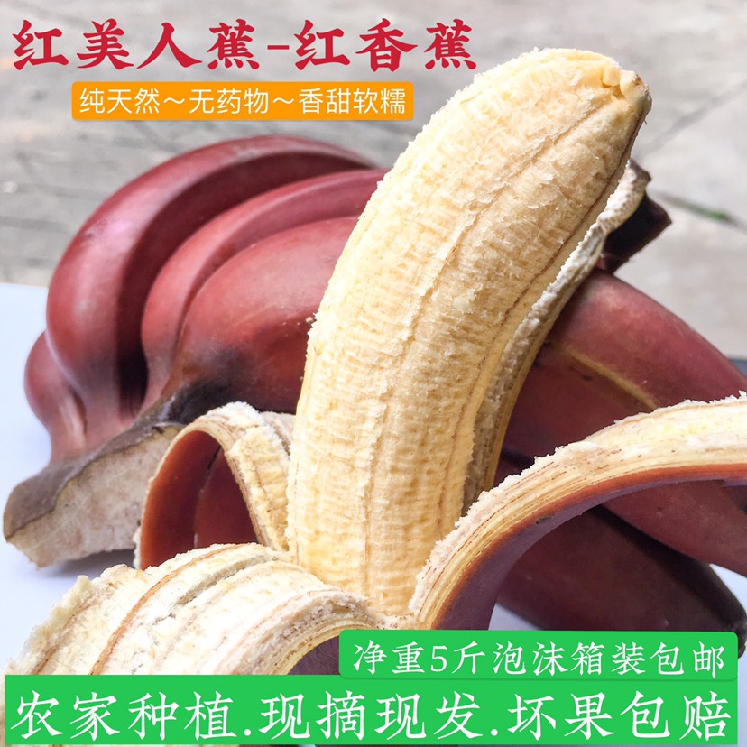 广西红美人蕉红香蕉新鲜香蕉整箱包邮现砍现发一件代发批发