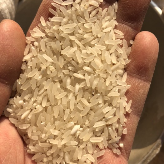 鲜大米，乡户大米，自家加工，每日现打。