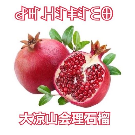 西昌市大凉山会理石榴 微粒子