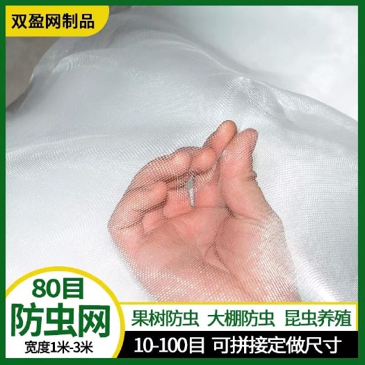济南蔬菜防虫网60目果树防虫网 大棚种植防虫网罩 养猪场防蝇防蚊