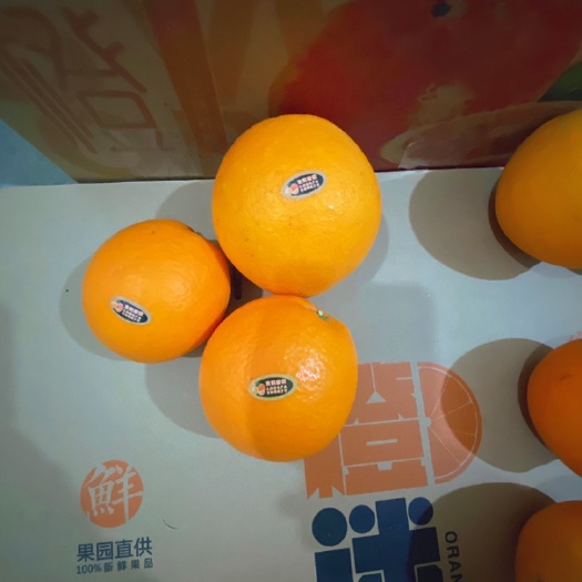 古田县古田县宝溪脐橙，宝溪脐橙基地，助农产品