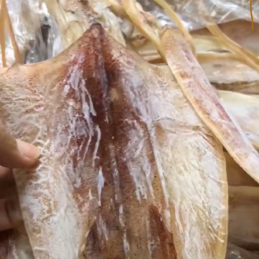 饶平县 超大鱿鱼干  烧烤  炒菜  一斤8-10个