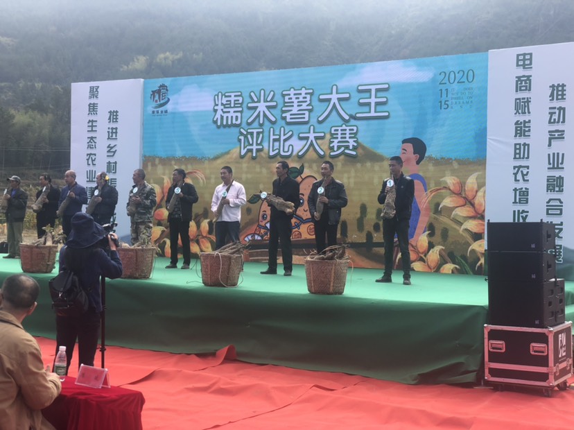 福建糯米山药