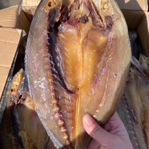 滨州咸鱼  这是一款闲鱼，黄金鲅鱼，煎炸蒸炖都不错，只有一根主刺没有乱刺