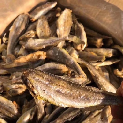 滨州小黄鱼干 香酥小黄鱼，去头去内脏的，又酥又脆，当零食还是酒桌都必备