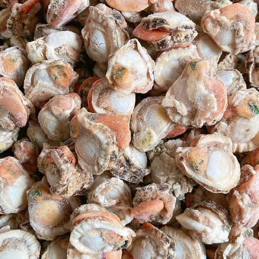 滨州 无冰衣扇贝肉，可以做汤辣炒都很美味