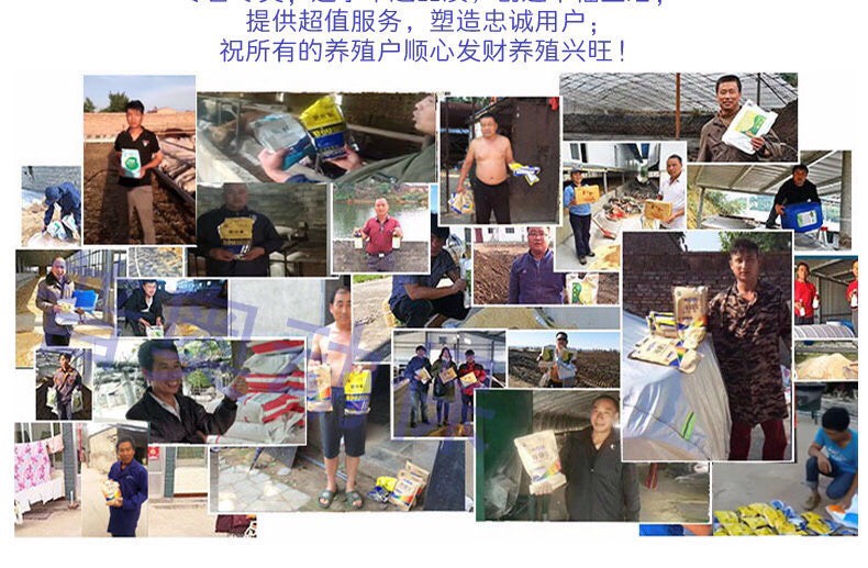 核肽金方牛羊兔鸡鸭猪通用抗病毒清瘟败毒防控非瘟