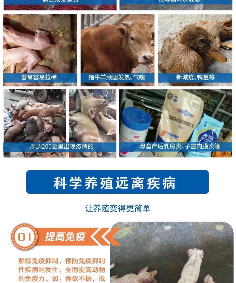 核肽金方牛羊兔鸡鸭猪通用抗病毒清瘟败毒防控非瘟