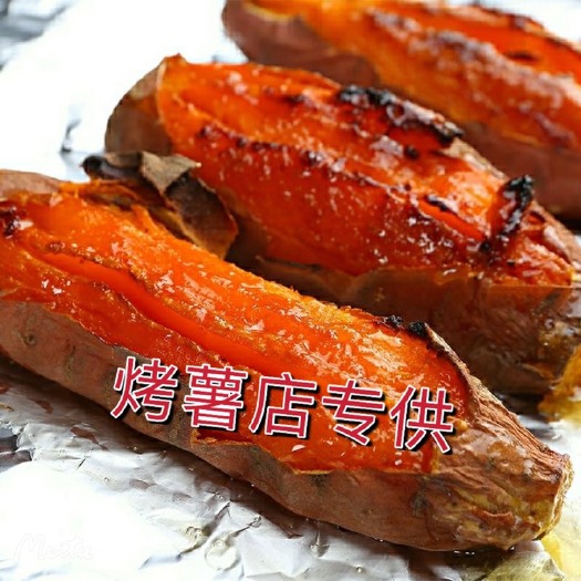 山东烟薯25红薯唐山蜜薯烤薯店一手货源一件代发烤红薯专用特甜