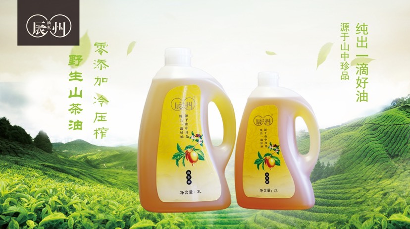 沅陵县野生山茶油 压榨法