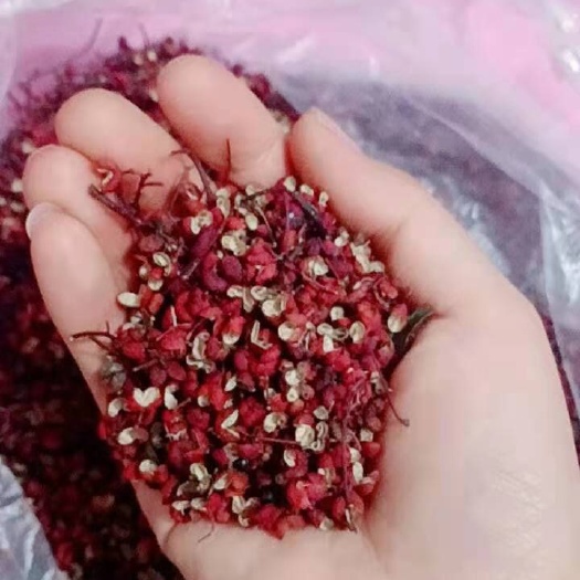 五台县大红袍花椒  花椒