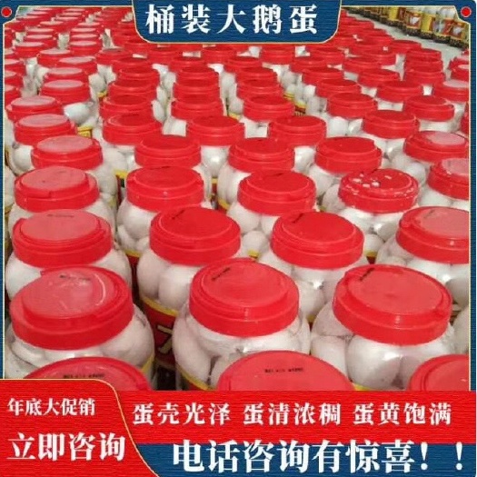 唐山鲜鹅蛋 桶装鸭蛋 鹅蛋 定制款