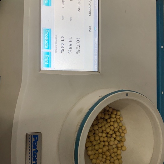 敦化市黄大豆特等豆