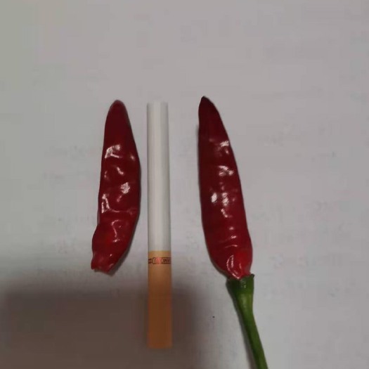 朝天椒干辣椒 朝天椒，干辣椒
