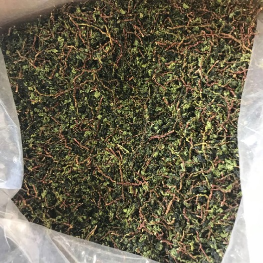 安溪县安溪铁观音  专业铁观音毛茶批发